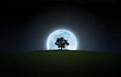 Silhouette Tree Hill Full Moon Nature Wallpaper 4K 1650x1050 Silhouette, Of, A, Tree, On, Hill, With, Full, Moon, Glowing, Night, Sky, White, Ultrawide