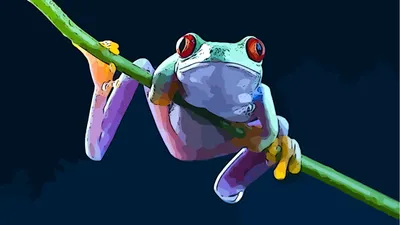 Tree Frog Animal Red Animals Wallpaper 4K 1920x1080 Tree, Frog, Animal, Red-eyed, Hd, Desktop, Gray, Ultrawide, Full HD