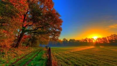 Moody Serene Wallpaper Nature Wallpaper 4K 3840x2160 Hd, Desktop, Wallpaper, Featuring, A, Serene, Autumn, Field, Sunset, Vibrant, Orange, Red, Ultrawide, 4k