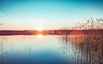 Sleek Plant Wallpaper Nature Wallpaper 4K 1920x1200 Plant, Sunbeam, Horizon, Nature, Lake, Hd, Desktop, Wallpaper, White, Ultrawide, Full HD