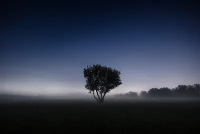 Misty General Wallpaper Abstract Wallpaper 4K 3840x2560 Wallpaper, General, 3840x2560, Brown, Gray, Landscape, 4k