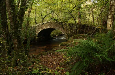 Mossy Man Stone Bridge Arches World Wallpaper 4K 1920x1260 Hd, Pc, Desktop, Wallpaper, Mossy, Man-made, Stone, Bridge, Arches, Over, Gently, Flowing, Gray, Brown, Ultrawide, Full HD