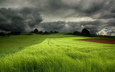 Lush Green Field Dramatic Wallpaper 4K, Nature category