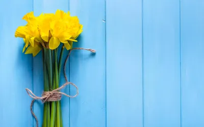 Daffodil Man Flower Nature Wallpaper 4K 2560x1600 Daffodil, Man, Made, Flower, Hd, Desktop, Wallpaper, Pink, White, Ultrawide, QHD