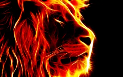 Serene Vibrant Wallpaper Animals Wallpaper 4K 2560x1600 Hd, Desktop, Wallpaper, Featuring, A, Vibrant, Fiery, Representation, Lion, Orange, Red, Tones, Ultrawide, QHD