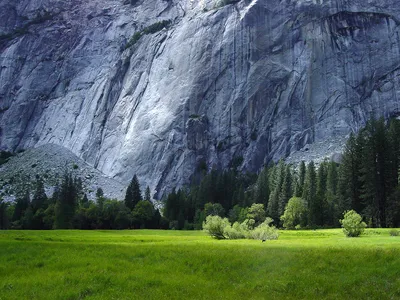 Bold Yellowstone Wallpaper Nature Wallpaper 4K 1600x1200 A, Stunning, Yellowstone, Landscape, Featuring, Lush, Green, Field, Framed, Majestic, Cliffs, Towering, Gray, Brown