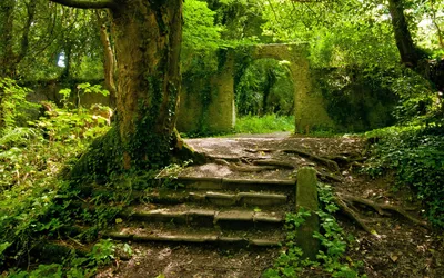Radiant Serene Wallpaper Nature Wallpaper 4K 1920x1200 A, Serene, Forest, Scene, Featuring, Winding, Path, Lined, Lush, Greenery, Leading, Ancient, Brown, Orange, Ultrawide, Full HD