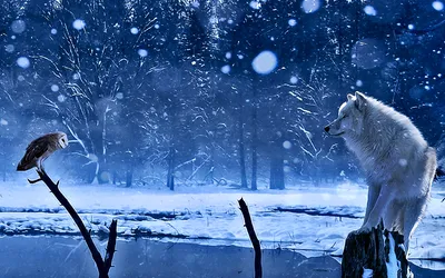 Vivid Captivating Wallpaper Nature Wallpaper 4K 1920x1200 A, Captivating, Fantasy, Scene, Features, Wolf, Gazing, Owl, Amidst, Snowy, Landscape, Surrounded, Brown, Pink, Ultrawide, Full HD