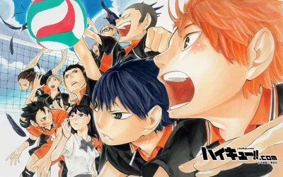Anime Haiky Volleyball Team Abstract Wallpaper 4K 1920x1200 Hd, Anime, Desktop, Wallpaper, Featuring, The, Haiky, Volleyball, Team, Action, Showcasing, White, Ultrawide, Full HD