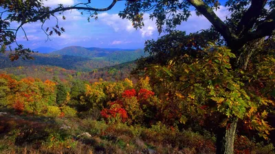 Fall Nature Panorama Nature Wallpaper 4K 1920x1080 Hd, Pc, Desktop, Wallpaper, Showing, A, Fall, Nature, Panorama, Tree-framed, Foreground, Vibrant, Pink, Gray, Ultrawide, Full HD