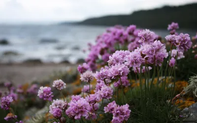 Bright Nature Wallpaper Wallpaper 4K, Nature category