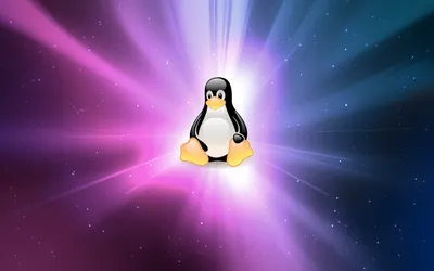 Linux Mascot Tux Vibrant Radiant Technology Wallpaper 4K 2560x1600 Hd, Desktop, Wallpaper, Of, The, Linux, Mascot, Tux, Set, Against, Vibrant, Radiant, White, Brown, Gray, Ultrawide, QHD