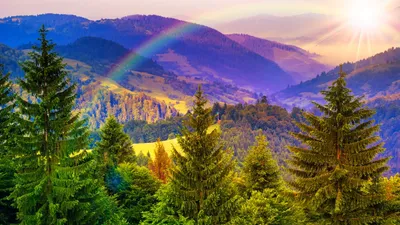 Golden Vibrant Wallpaper Nature Wallpaper 4K 1920x1080 A, Vibrant, Fall, Landscape, Features, Lush, Green, Trees, Against, Majestic, Mountains, Rainbow, White, Ultrawide, Full HD