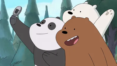 Three Main Bears Nature Wallpaper 4K 1920x1080 Hd, Desktop, Wallpaper, Featuring, The, Three, Main, Bears, Show, Bare, Taking, Selfie, White, Brown, Ultrawide, Full HD