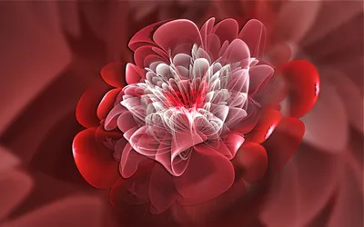Abstract Fractal Design Vivid Nature Wallpaper 4K 1920x1200 An, Intricate, Abstract, Fractal, Design, Featuring, A, Vivid, Flower, Shades, Red, White, Brown, Ultrawide, Full HD
