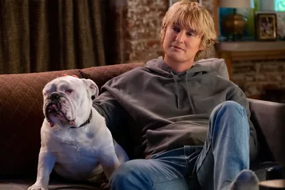 Bold Owen Wallpaper Abstract Wallpaper 4K 1920x1279 Owen, Wilson, Movie, Marry, Me, Hd, Desktop, Wallpaper, White, Brown, Ultrawide, Full HD
