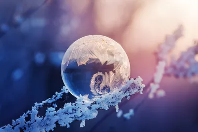 Calm Definition Wallpaper Nature Wallpaper 4K 2048x1365 A, High-definition, Wallpaper, Featuring, Macro, Shot, Of, Frozen, Bubble, Frosty, Branch, Set, Gray, Ultrawide, Full HD