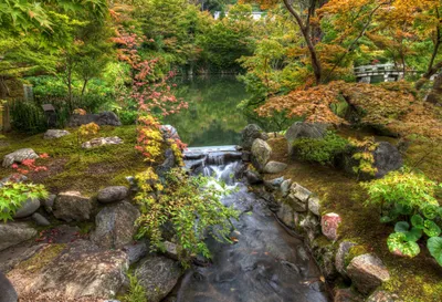 Harmony Garden Kyoto Nature Wallpaper 4K 3000x2047 Hd, Wallpaper, Of, The, Harmony, Garden, In, Kyoto, Japan, Showcasing, Serene, Autumn, Brown, Landscape, QHD
