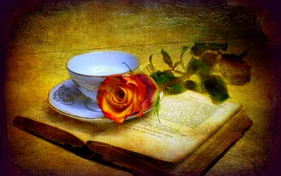 Dreamy Vintage Wallpaper Abstract Wallpaper 4K 1920x1200 Vintage, Still, Life, Painting, Of, An, Open, Book, White, Cup, Saucer, Single, Brown, Purple, Ultrawide, Full HD