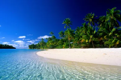Dark Tropical Wallpaper Nature Wallpaper 4K 2000x1333 A, Stunning, Hd, Desktop, Wallpaper, Showing, Tropical, Beach, Clear, Blue, Skies, Pristine, White, Red, Ultrawide, Full HD