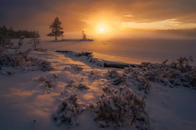 Sunset Snowy Winter Landscape Norway Nature Wallpaper 4K 2048x1366 Sunset, Over, A, Snowy, Winter, Landscape, In, Norway, Capturing, Serene, Nature, Soft, Brown, Full HD