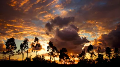 Vibrant Sunset Golden Nature Wallpaper 4K 3840x2160 Hd, Desktop, Wallpaper, Showcasing, A, Vibrant, Sunset, With, Golden, Clouds, Silhouettes, Trees, Brown, Gray, Ultrawide, 4k