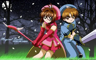 Sakura Kinomoto Syaoran Anime Cardcaptor Animals Wallpaper 4K 1920x1200 Hd, Pc, Desktop, Wallpaper, Featuring, Sakura), Kinomoto, And, Syaoran, Anime, Cardcaptor, Set, Gray, Pink, Ultrawide, Full HD