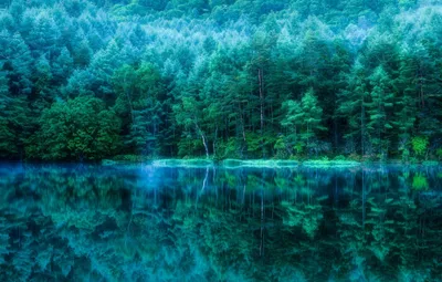 Bright Serene Wallpaper Nature Wallpaper 4K 2048x1305 Hd, Desktop, Wallpaper, Of, A, Serene, Pond, In, Japanese, Forest, Capturing, Lush, Pink, Brown, Ultrawide, Full HD