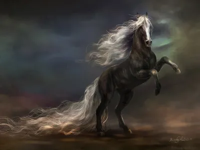 Majestic Black Horse Flowing White Black/Dark Wallpaper 4K 1600x1200 Hd, Wallpaper, Of, A, Majestic, Black, Horse, With, Flowing, White, Mane, Tail, Gray, Landscape