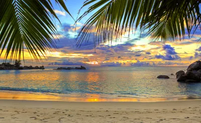 Bright Tropical Wallpaper Nature Wallpaper 4K 3000x1843 Hd, Desktop, Wallpaper, Of, A, Tropical, Beach, At, Sunset, Horizon, Showcases, Stunning, Gray, Ultrawide, QHD