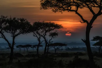 Epic Serene Wallpaper Nature Wallpaper 4K 5452x3635 Hd, Desktop, Wallpaper, Featuring, A, Serene, Dawn, In, Kenyan, Savannah, Africa, Sunrise, Brown, Landscape, 4k