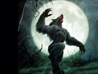 Calm Depicting Wallpaper Black/Dark Wallpaper 4K 1600x1200 Hd, Desktop, Wallpaper, Depicting, A, Roaring, Werewolf, Under, Full, Moon, Dark, Rainy, White, Landscape