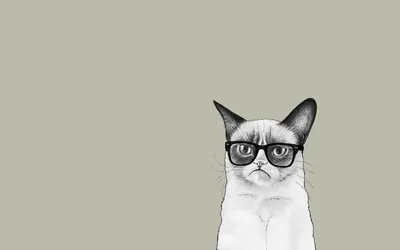 Minimalist Grumpy Cat Wearing Minimal Wallpaper 4K 1920x1200 Minimalist, Hd, Desktop, Wallpaper, Of, A, Grumpy, Cat, Wearing, Glasses, Blending, Humor, Gray, Ultrawide, Full HD