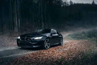 Radiant Sleek Wallpaper Nature Wallpaper 4K 2048x1365 A, Sleek, Black, Bmw, M6, Parked, On, Forested, Path, Covered, Autumn, Leaves, Gray, Ultrawide, Full HD