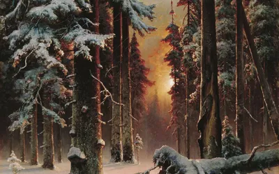 Artistic Depiction Snow Nature Wallpaper 4K 1920x1200 Hd, Wallpaper, Of, An, Artistic, Depiction, A, Snow-covered, Winter, Forest, Sun, Rays, Gray, Ultrawide, Full HD