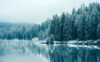Serene Winter Landscape Snow Nature Wallpaper 4K 3200x2000 A, Serene, Winter, Landscape, Featuring, Snow-covered, Trees, Reflecting, Calm, River, Creating, Tranquil, White, Ultrawide, QHD