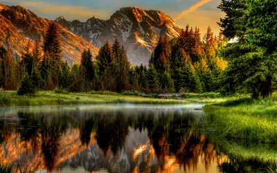 Crisp Serene Wallpaper Nature Wallpaper 4K 2560x1600 Hd, Desktop, Wallpaper, Of, A, Serene, River, Flowing, Through, Lush, Green, Forest, Gray, Ultrawide, QHD