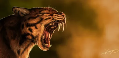 Fierce Wildcat Snarling Mouth Abstract Wallpaper 4K 2333x1141 Hd, Pc, Desktop, Wallpaper, Of, A, Fierce, Wildcat, Snarling, Mouth, Open, Showcasing, Brown, Ultrawide, Full HD