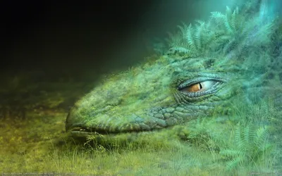 Golden Definition Wallpaper Fantasy Wallpaper 4K 1920x1200 A, High-definition, Desktop, Wallpaper, Featuring, Close-up, Of, Fantasy, Creature, Textured, Green, Face, Gray, Brown, Ultrawide, Full HD