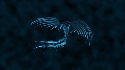 Misty Blue Wallpaper Fantasy Wallpaper 4K 1920x1080 A, Stunning, Blue, Phoenix, Emerges, From, Dark, Showcasing, Intricate, Details, Mystical, Aura, Brown, Ultrawide, Full HD