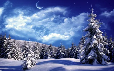 Vivid Serene Wallpaper Nature Wallpaper 4K 1920x1200 Hd, Desktop, Wallpaper, Showing, A, Serene, Winter, Night, Scene, Snow-covered, Trees, Under, Gray, Ultrawide, Full HD