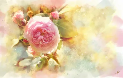 Vivid Artistic Wallpaper Abstract Wallpaper 4K 5360x3436 Artistic, 5k, Ultra, Hd, Pc, Desktop, Wallpaper, Of, Pink, Rose, Blossom, Buds, White, Ultrawide, 4k