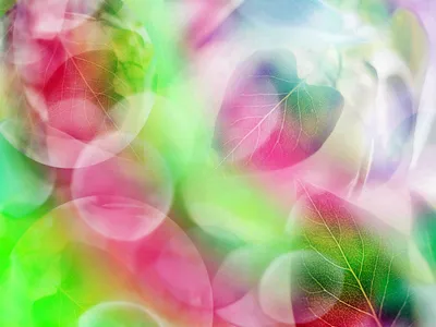 Artistic Nature Soft Focus Translucent Nature Wallpaper 4K 1600x1200 Artistic, Nature, Hd, Pc, Desktop, Wallpaper, Soft-focus, Translucent, Leaves, Pastel, Bokeh, Green, White, Pink, Landscape