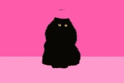 Minimalist Quad Fluffy Minimal Wallpaper 4K 3427x2284 Minimalist, 2k, Quad, Hd, Pc, Desktop, Wallpaper, Showing, Fluffy, Black, Persian, Cat, Pink, Yellow, Ultrawide, QHD