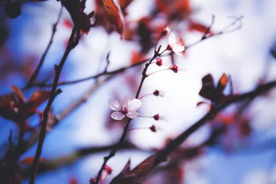 Vibrant General Wallpaper Abstract Wallpaper 4K 5472x3648 Wallpaper, General, 5472x3648, White, Landscape, 4k