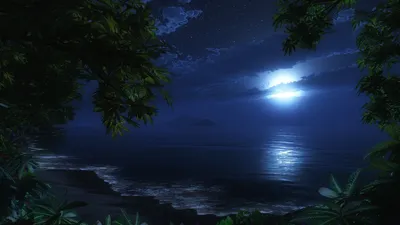 Serene Tropical Beach Night Moonlight Space Wallpaper 4K 1920x1080 Hd, Desktop, Wallpaper, Featuring, A, Serene, Tropical, Beach, Night, Moonlight, Reflecting, Calm, Brown, Ultrawide, Full HD