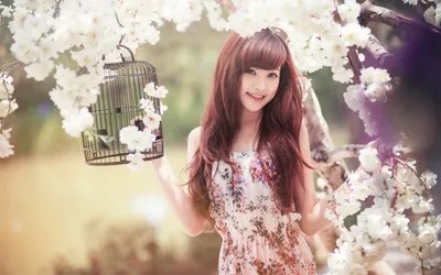 Dark Asian Wallpaper Animals Wallpaper 4K 2560x1600 Hd, Desktop, Wallpaper, Featuring, An, Asian, Woman, Smiling, Holding, Birdcage, Surrounded, Blooming, White, Ultrawide, QHD