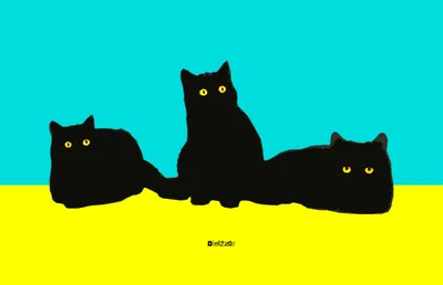 Minimalist Three Simple Black Cats Minimal Wallpaper 4K 3300x2128 Minimalist, Hd, Desktop, Wallpaper, Featuring, Three, Simple, Black, Cats, Bright, Yellow, Eyes, Pink, Ultrawide, QHD