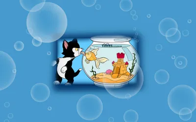 Figaro Cat Watching Cleo Animals Wallpaper 4K 1920x1200 Hd, Desktop, Wallpaper, Featuring, Figaro, The, Cat, Watching, Cleo, Goldfish, Bowl, Inspired, Pink, Gray, Ultrawide, Full HD