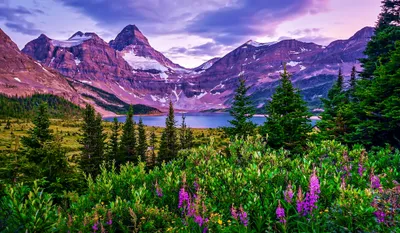 Serene Nature Vibrant Flowers Foreground Nature Wallpaper 4K 2062x1200 Hd, Desktop, Wallpaper, Of, A, Serene, Nature, Scene, Featuring, Vibrant, Flowers, Foreground, Gray, White, Ultrawide, Full HD